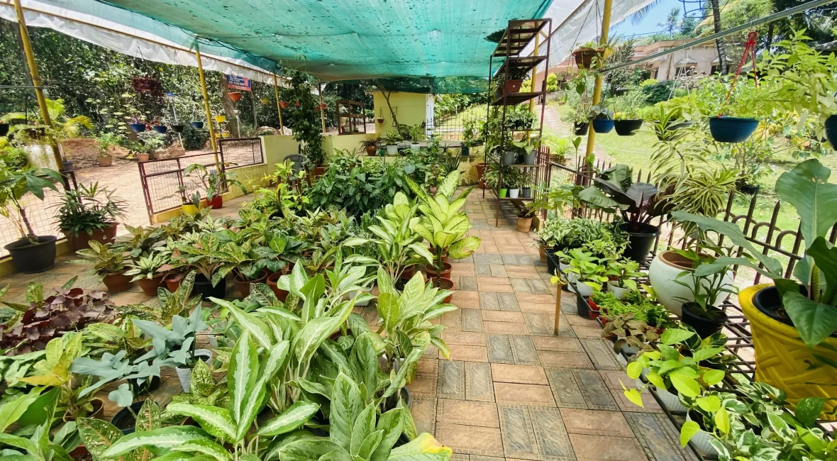 athma-nilayam-nursery-gardens