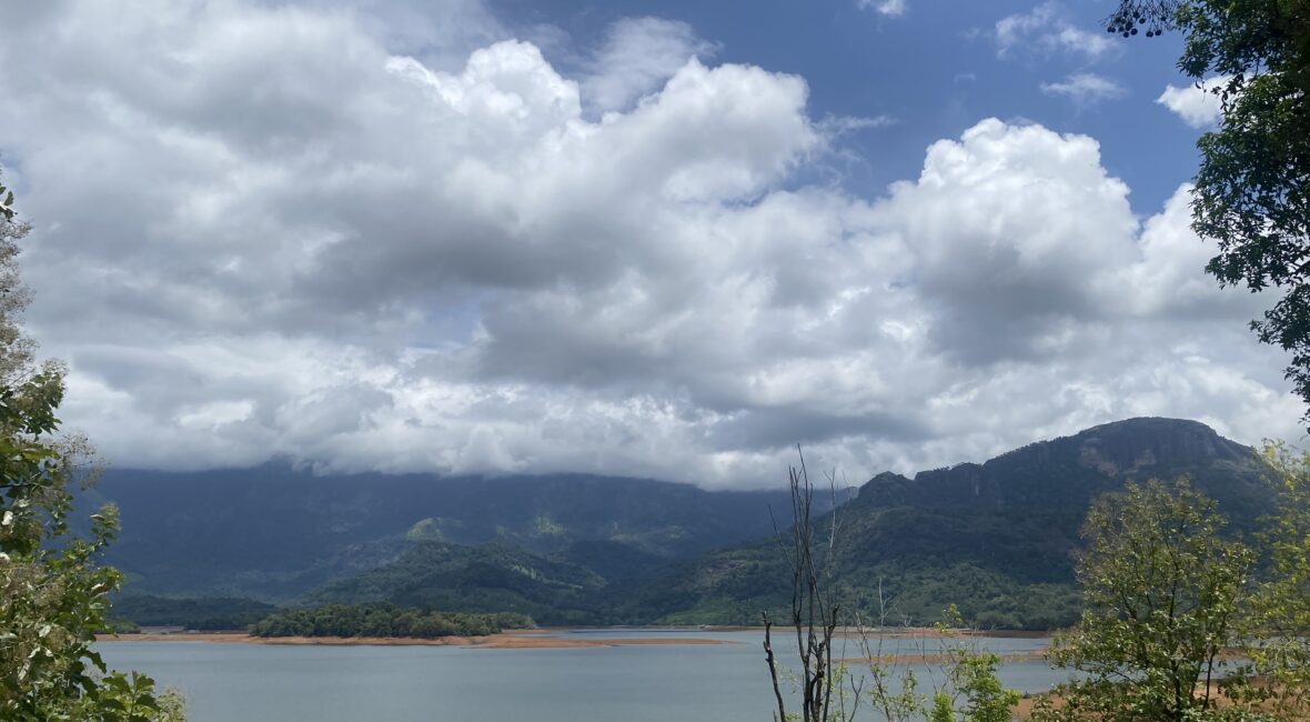 pechiparai-dam-view